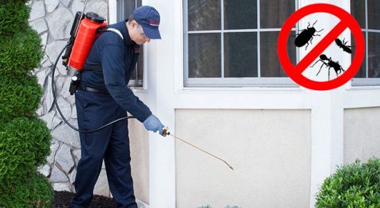 Ağlasun Dezenfeksiyon böcek ilaçlama ve haşere kontrolü — ilaclama-tr.com